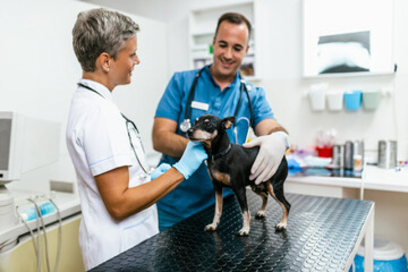 Clínica Pet Real Parque - Clínica Veterinária Próxima