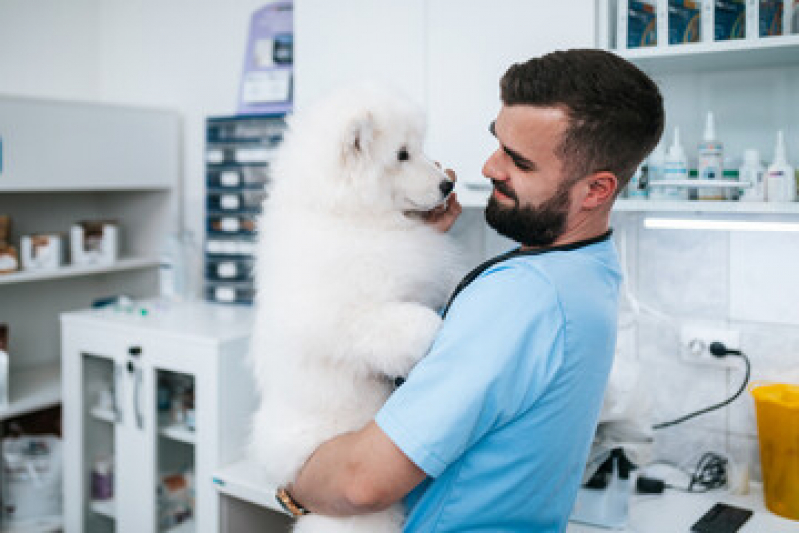 Clínica Veterinária para Animais Aeroporto - Clínica Veterinária Próxima