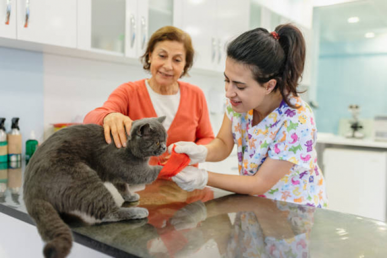 Clínica Veterinária para Filhotes Heliópolis - Clínica Veterinária para Gato