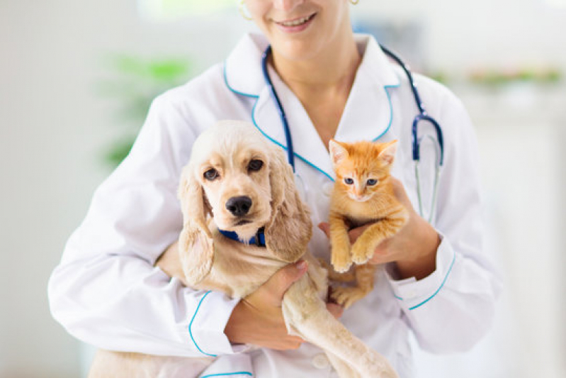 Contato de Dermatologista para Cães e Gatos Jardim das Acácias - Dermatologista para Pet