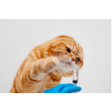 aplicação de vacina quádrupla para gatos Jardim Panorama