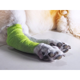 cirurgia de pata de cachorro marcar Pacaembu