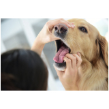 clinica de exame de citologia em cães Vila Mariana