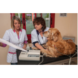 clinica de exame de leptospirose em cães Alto da Boa Vista