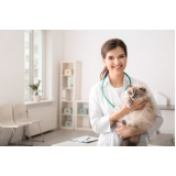 clinica de exame de sorologia para gatos Aeroporto
