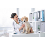 clinica de exame laboratorial veterinario Brooklin