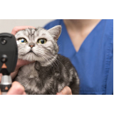 clínica de oftalmologista para gato Água Funda