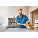 clinica de ultrassom veterinário Vila Cruzeiro