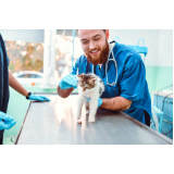 clinica de vacina quádrupla para gatos Paraíso