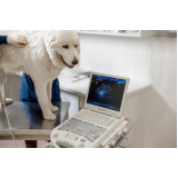 clínica veterinária com ultrassom telefone Santa Cruz