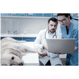 clinica veterinaria ortopedia contato Vila Cruzeiro