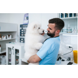 clínica veterinária para animais Aeroporto