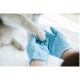 clínica veterinária para cachorros Jardim Paulista