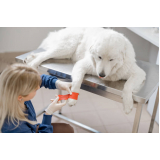 clínica veterinária para cães idosos telefone Água Funda