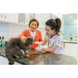 clínica veterinária para filhotes Indianópolis