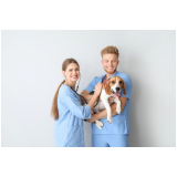 contato de clínica exames veterinários Saúde
