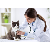 endereço de dermatologista de gatos Alto da Boa Vista