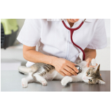 exame de sorologia para gatos agendar Morumbi