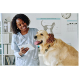 exame laboratorial veterinario agendar Saúde