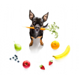 nutricionista cachorro Morumbi