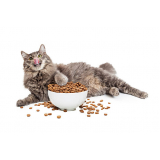 Nutricionista para Gatos