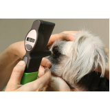 oftalmologista canino contato Cidade Ademar