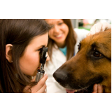 oftalmologista canino Real Parque
