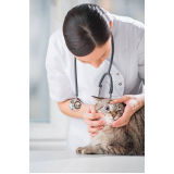 oftalmologista de animais marcar Socorro