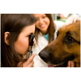 onde marcar veterinário especialista em oftalmologia Alto da Boa Vista