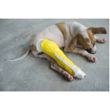 ortopedia para cães marcar Aeroporto