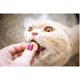 preço de remédio de pulga para gato Santo Amaro