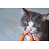 remédio de pulga para gatos onde vende Jardim América