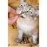 remédio de pulgas para gatos Vila Morumbi