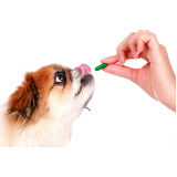 remédios para diarreia em cachorros preço Sacomã