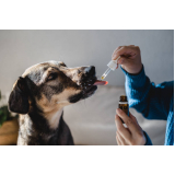 valor de remédio para pulgas cachorro Indianópolis