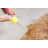 valor de remédio para pulgas em filhotes de cachorro Sacomã