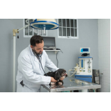 veterinário cardiologista Campo Grande