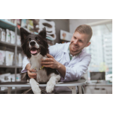 veterinário especialista em cachorro Heliópolis