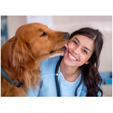 veterinário especialista em cachorros Brooklin
